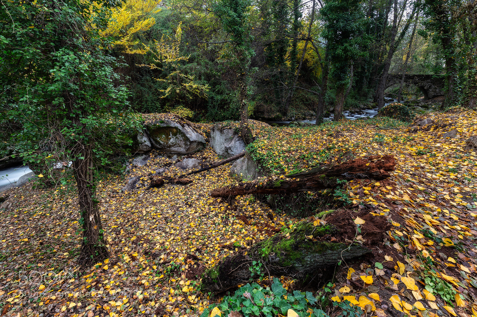 Canon EOS 6D sample photo. Garganta san gregorio  031216-9978 photography