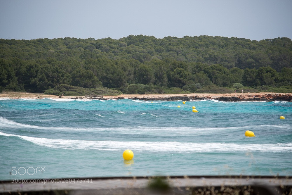 Nikon D7500 sample photo. Mallorca  photography