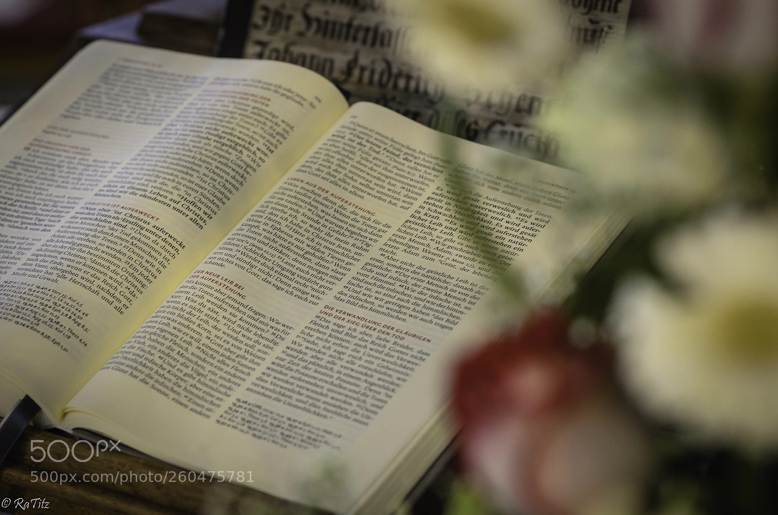 Nikon D7000 sample photo. Reading at church... photography