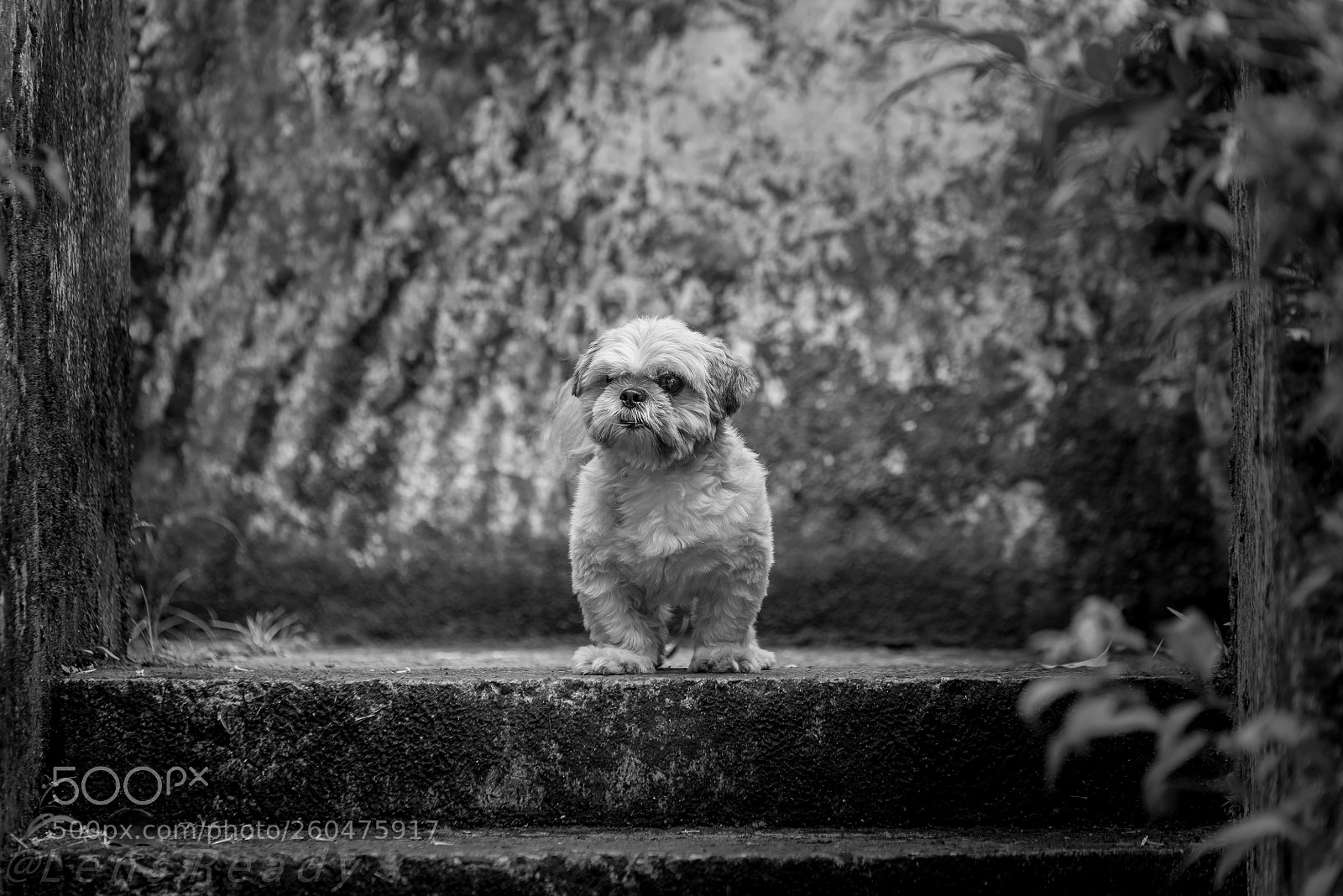 Nikon D800 sample photo. Our axel photography