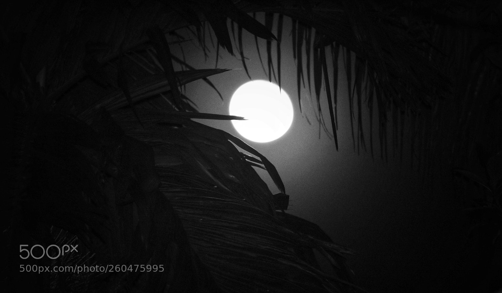 Nikon D3400 sample photo. A pleasent night photography