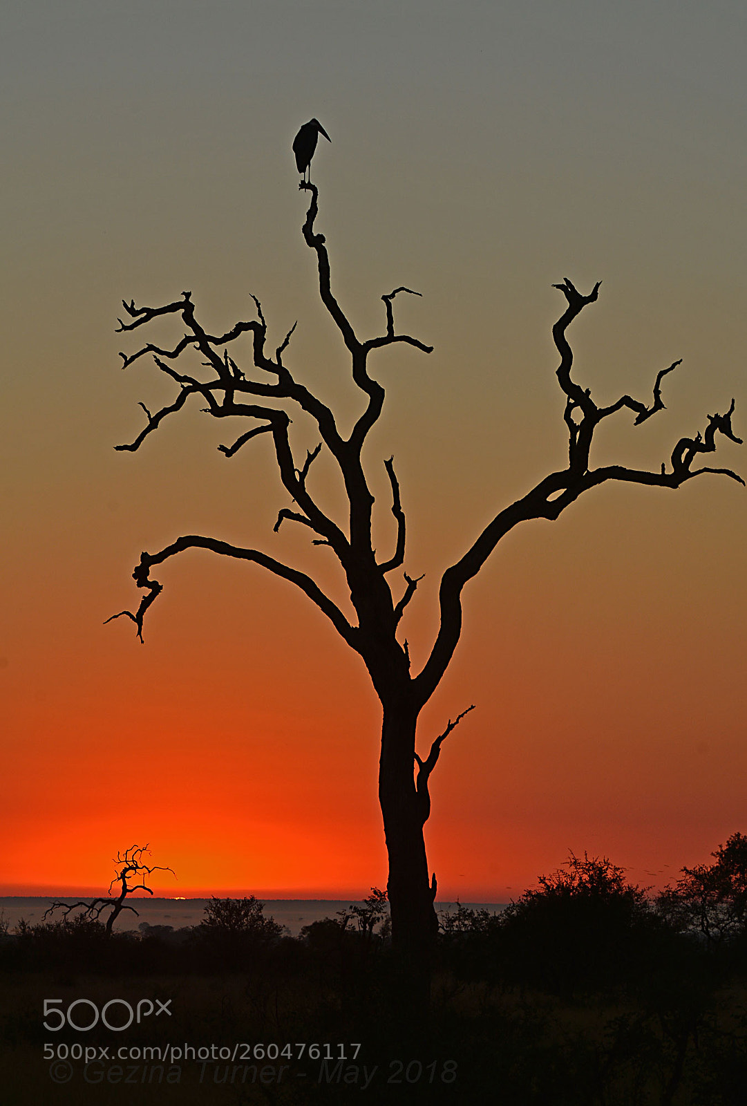 Nikon D7100 sample photo. African sunrise photography