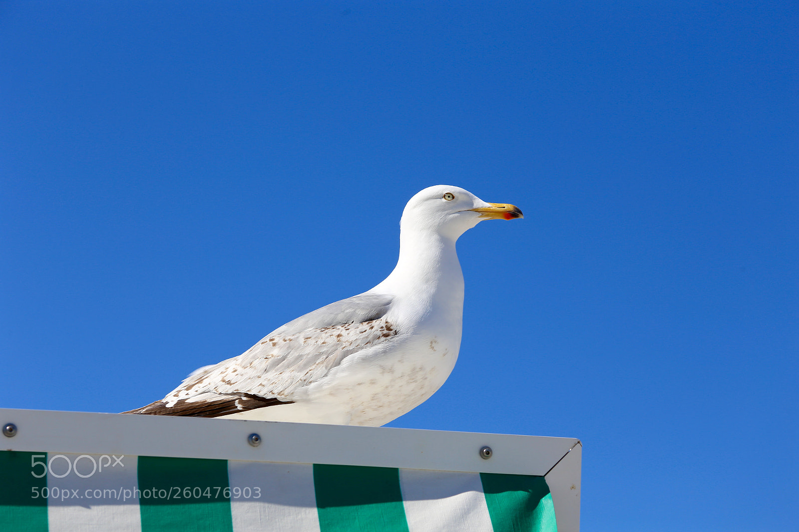 Canon EOS 6D sample photo. Ostseebad boltenhagen photography