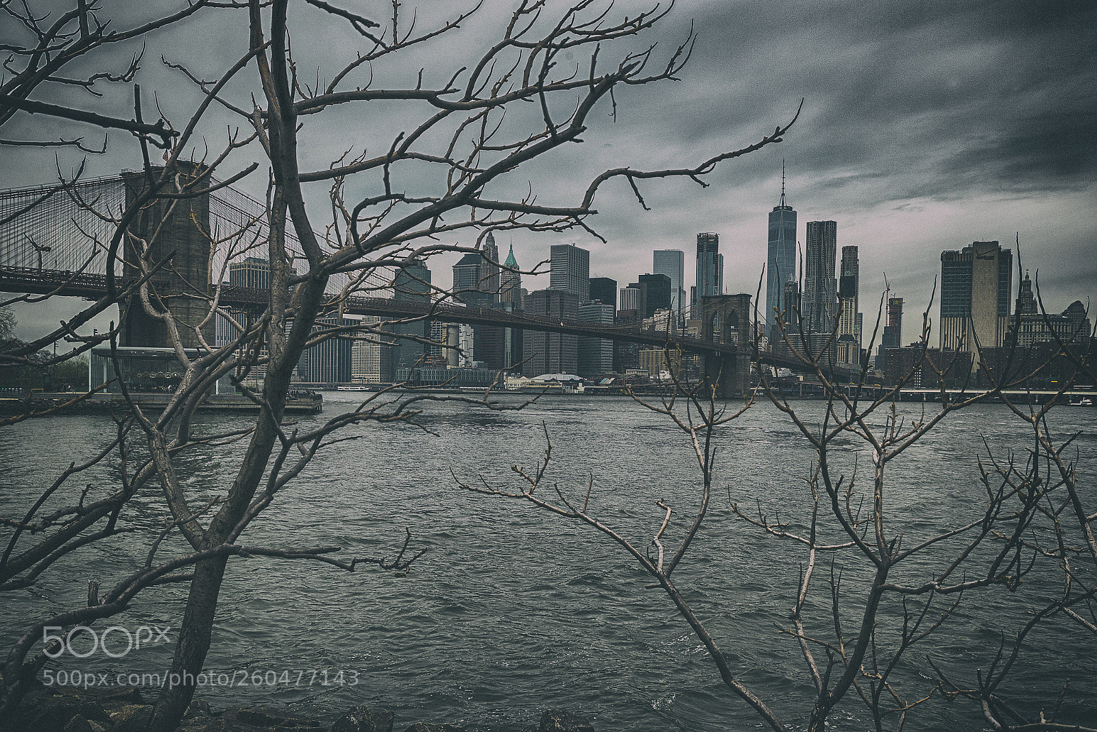 Nikon D610 sample photo. Brooklyn bridge photography