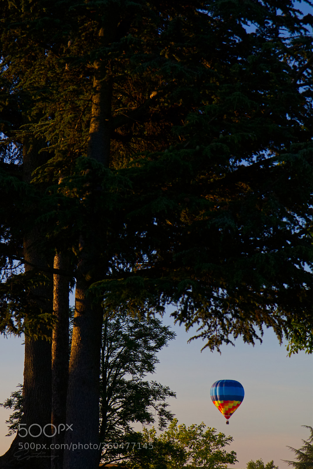 Canon EOS 70D sample photo. Hot air balloon photography