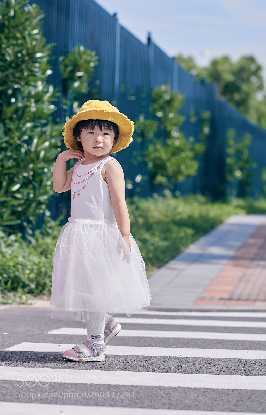 Nikon D850 sample photo. My pretty girl photography