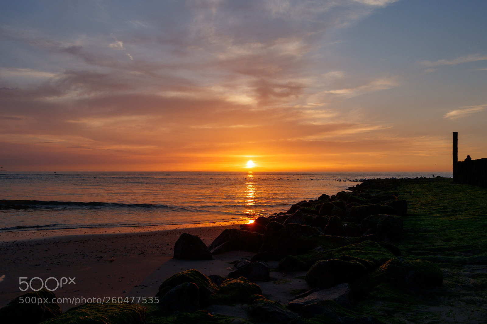 Canon EOS 80D sample photo. Wonderful sunset photography