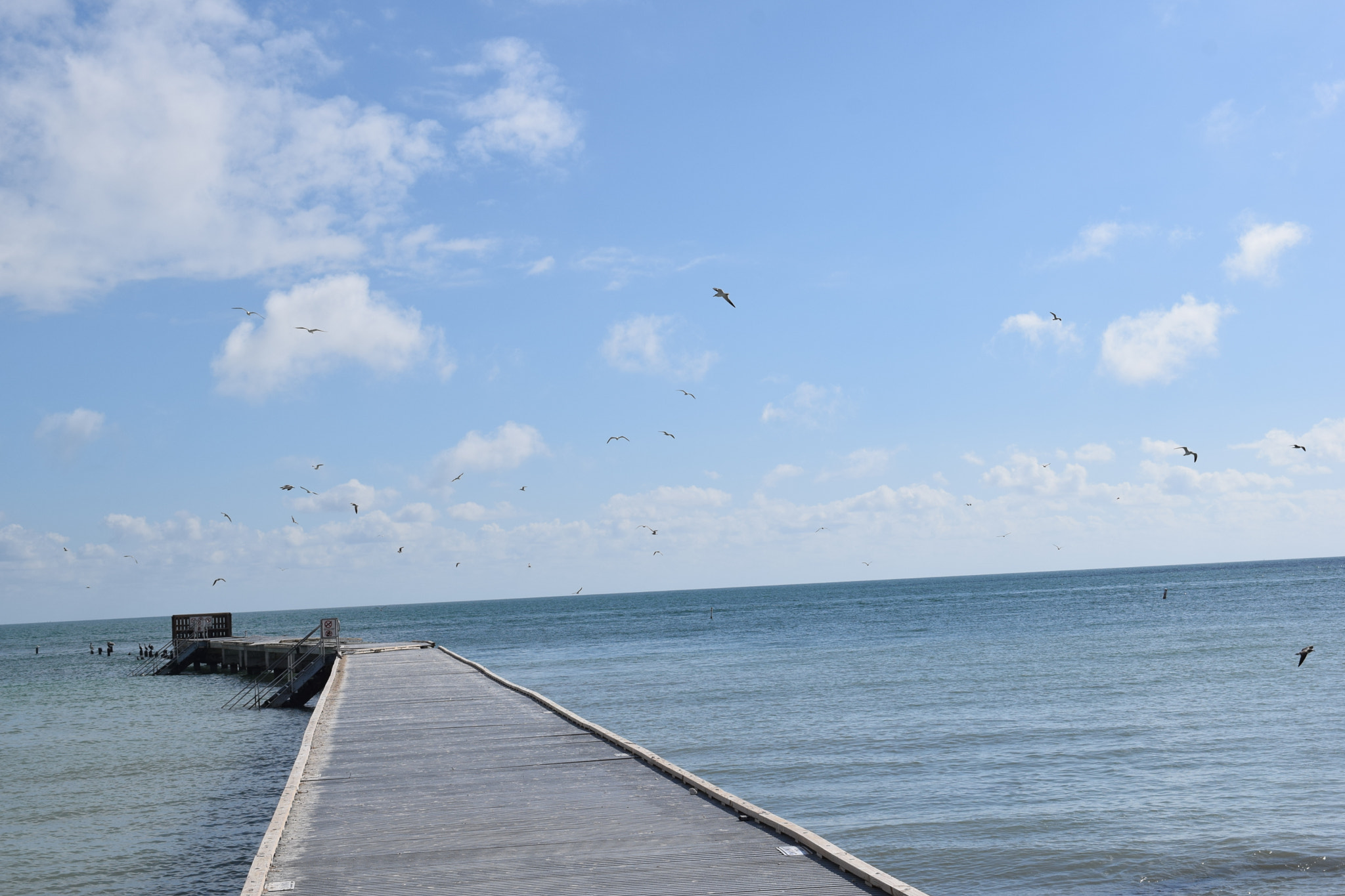 Nikon D5300 sample photo. To the sea photography