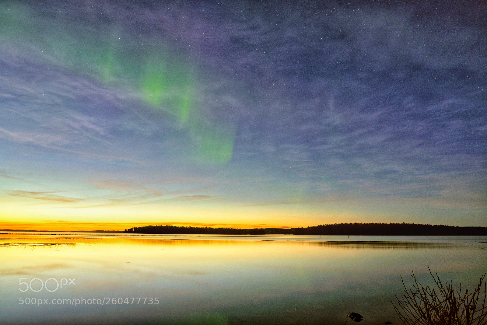 Nikon D750 sample photo. Spring auroras photography