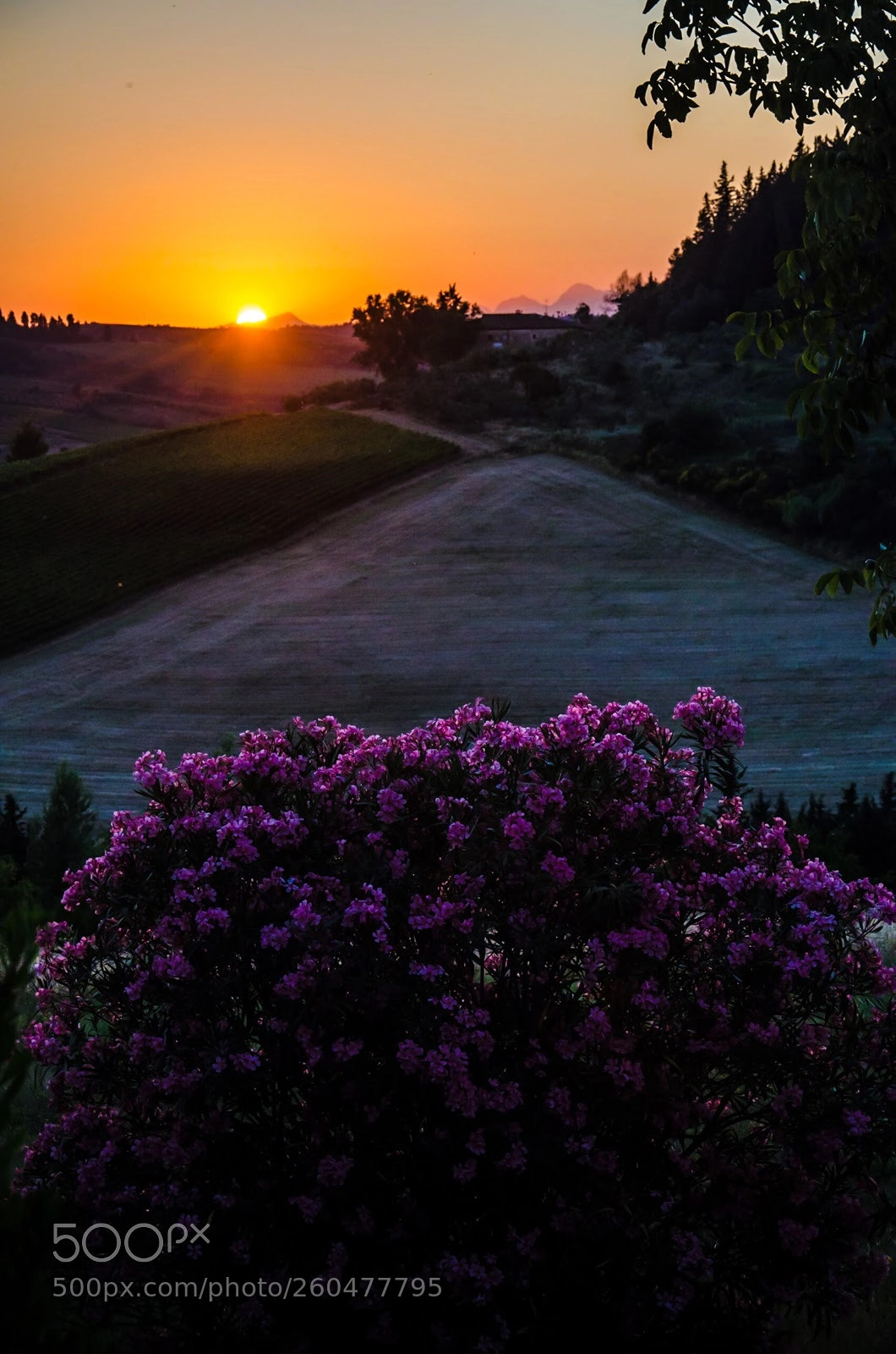 Nikon D7000 sample photo. Toscana sunset photography