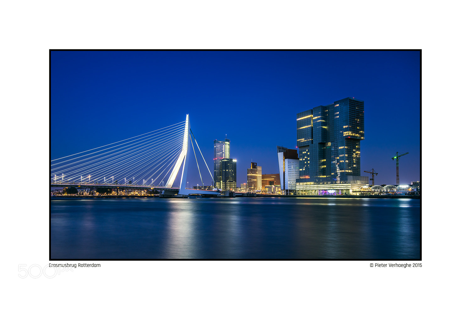 Nikon D810 sample photo. Erasmusbrug photography