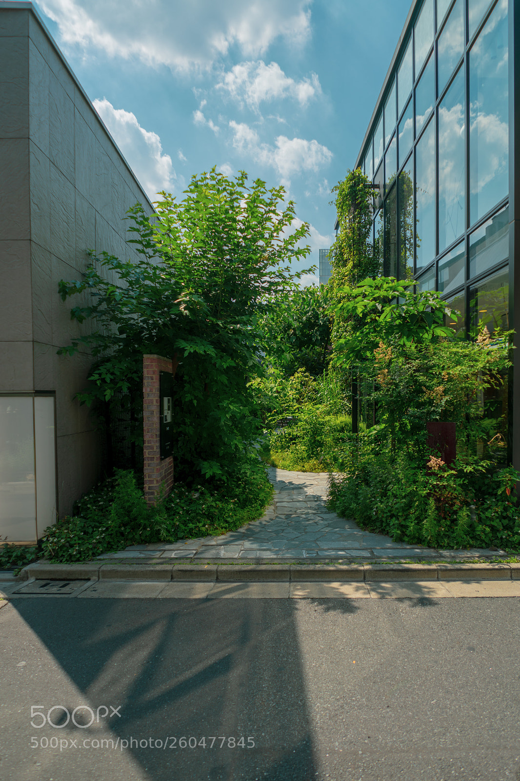 Sony a7 sample photo. Tokyo snap-0005 photography