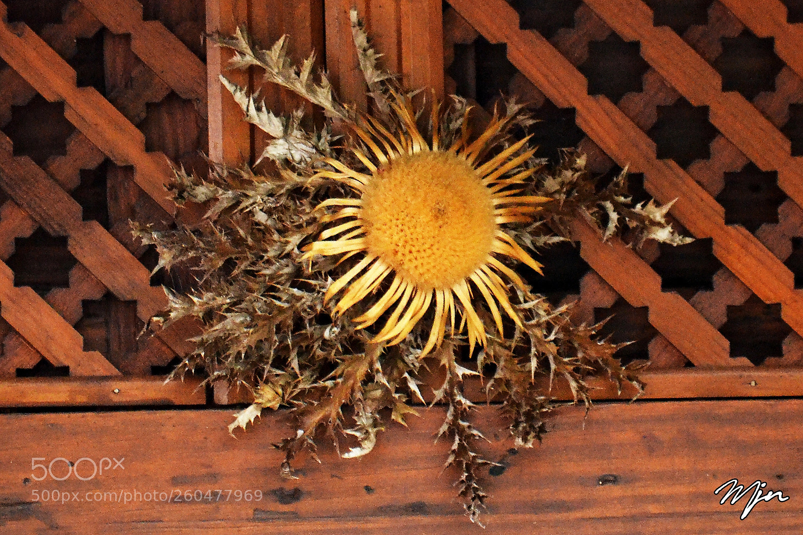 Nikon D3100 sample photo. Ekilorea, gure lurraldean, gure photography