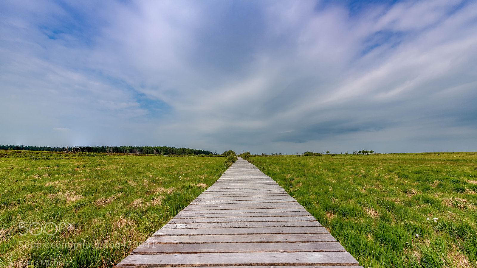 Nikon D850 sample photo. Hohes venn. photography