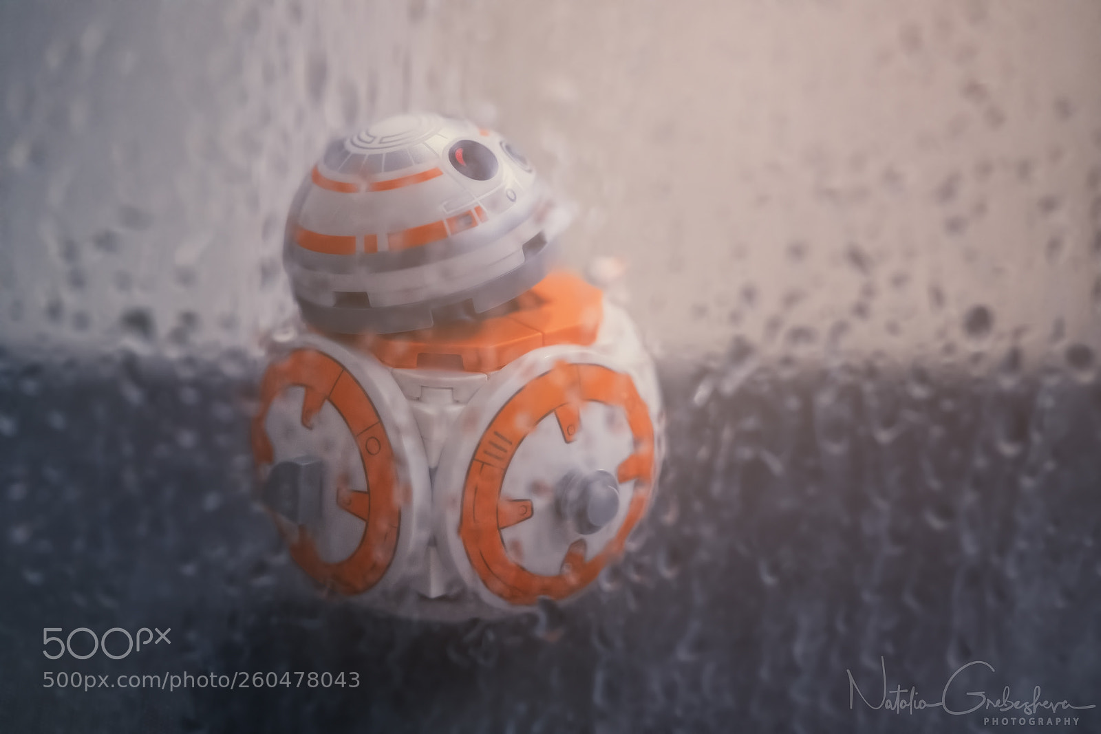 Sony a7R II sample photo. Bb-8 on a rainy photography