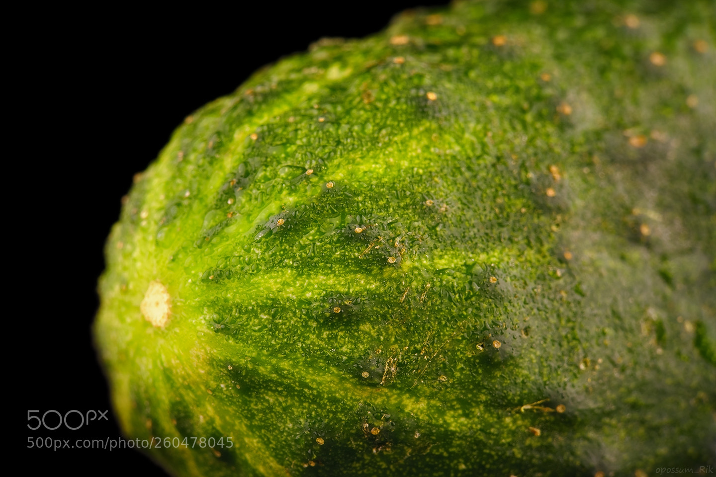 Panasonic Lumix DMC-FZ1000 sample photo. Cucumber photography