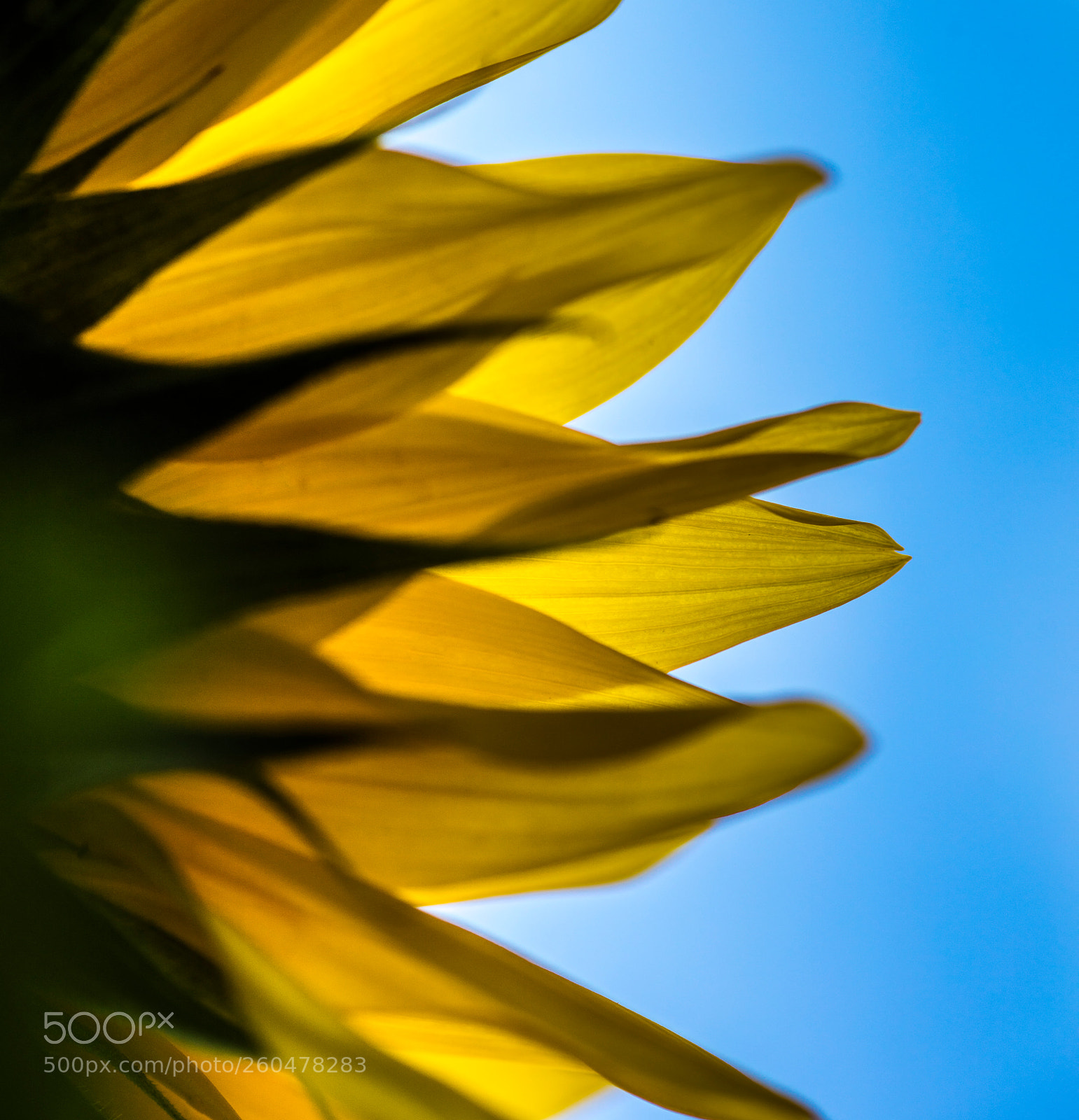Canon EOS 5DS sample photo. Left to right photography