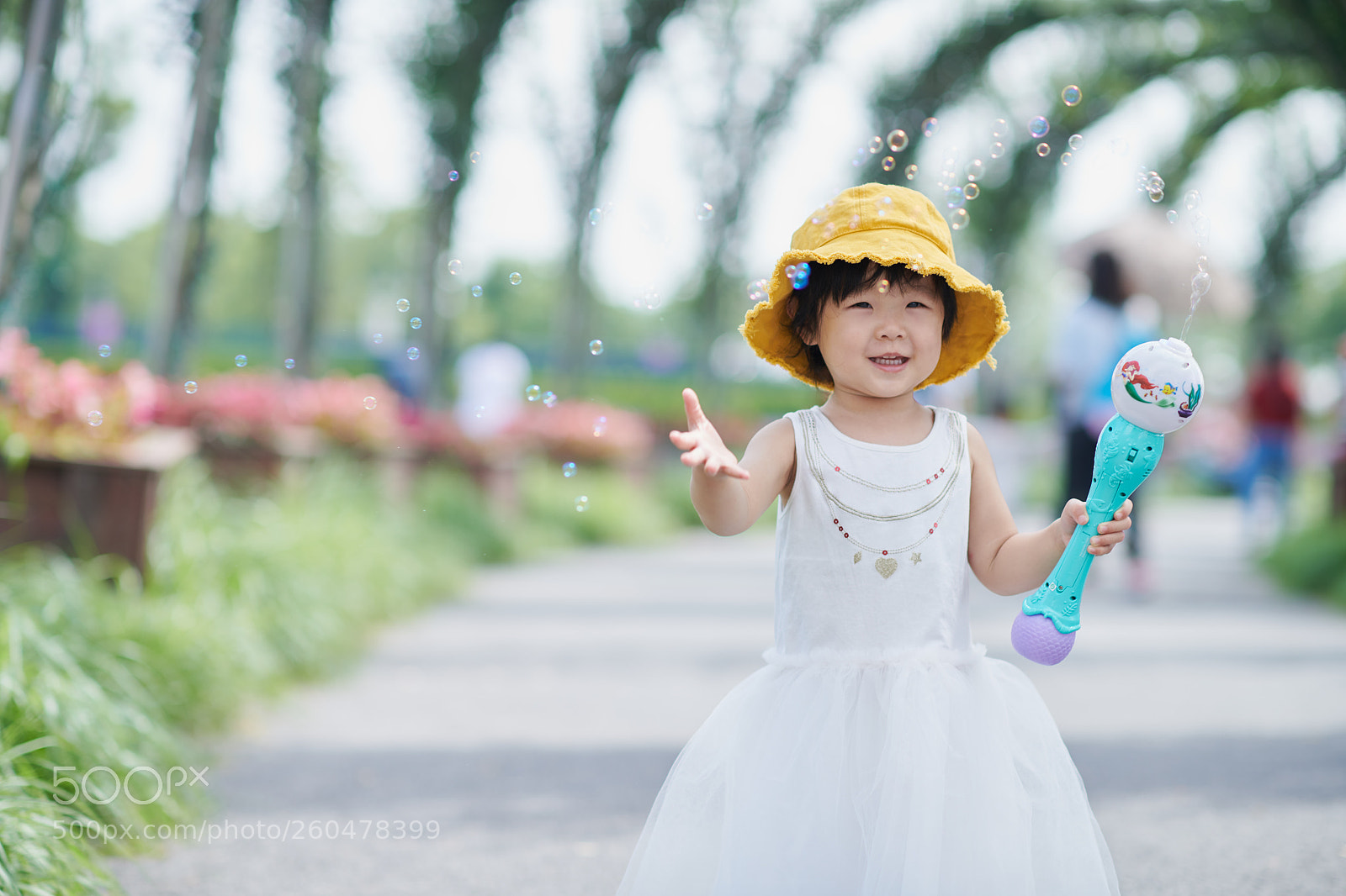 Nikon D850 sample photo. My pretty girl photography