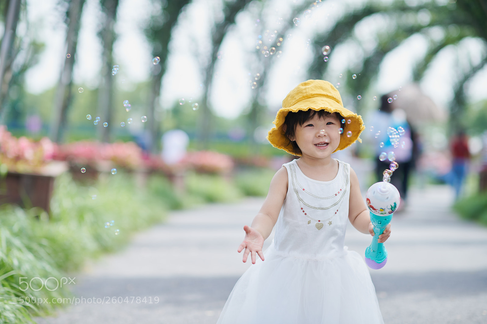 Nikon D850 sample photo. My pretty girl photography