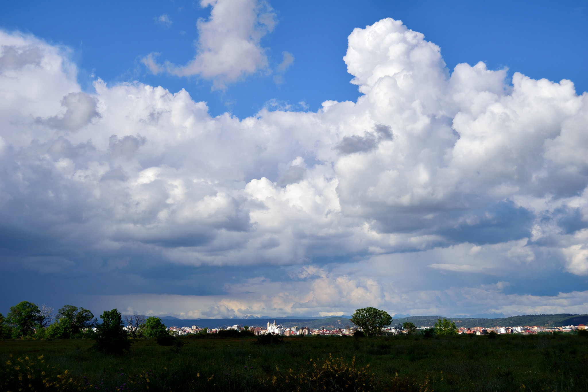 Nikon D3300 sample photo. León photography