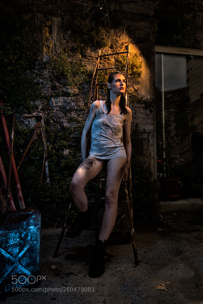 Nikon D810 sample photo. Nuit américaine photography