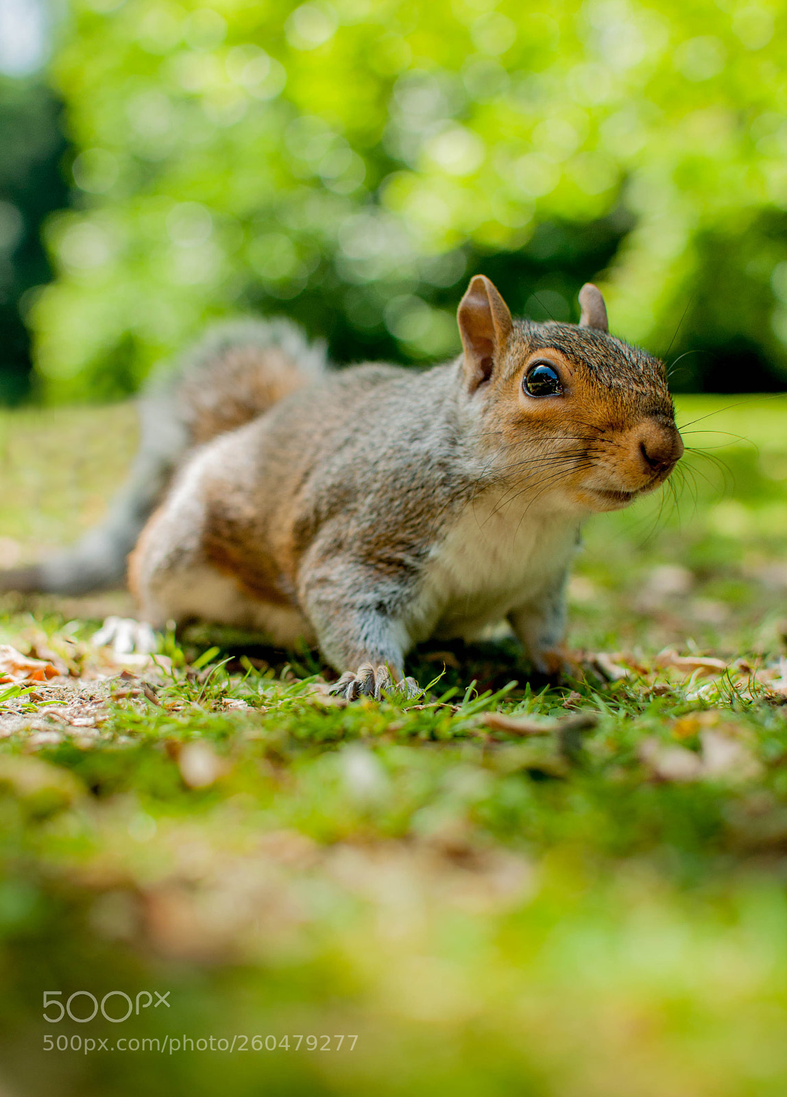 Nikon D90 sample photo. Curious? photography