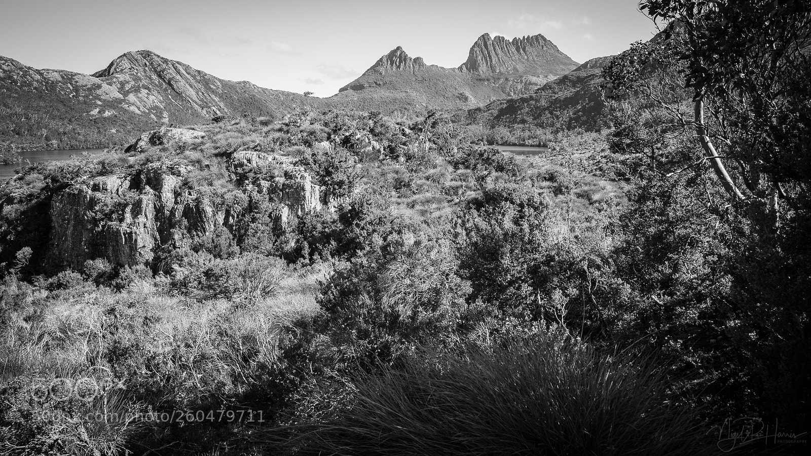 Canon EOS 5D Mark IV sample photo. Cradle mountain & bushland photography