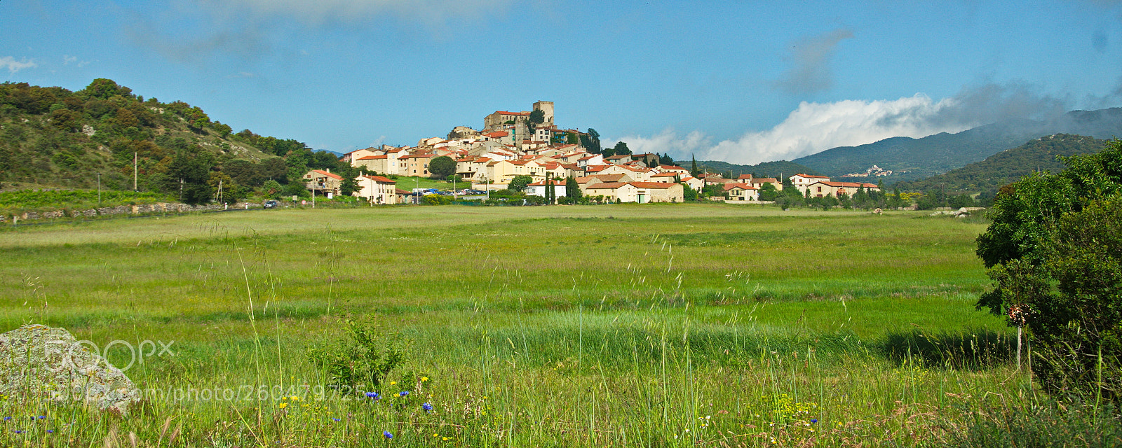 Nikon D7000 sample photo. Montalba le chateau photography