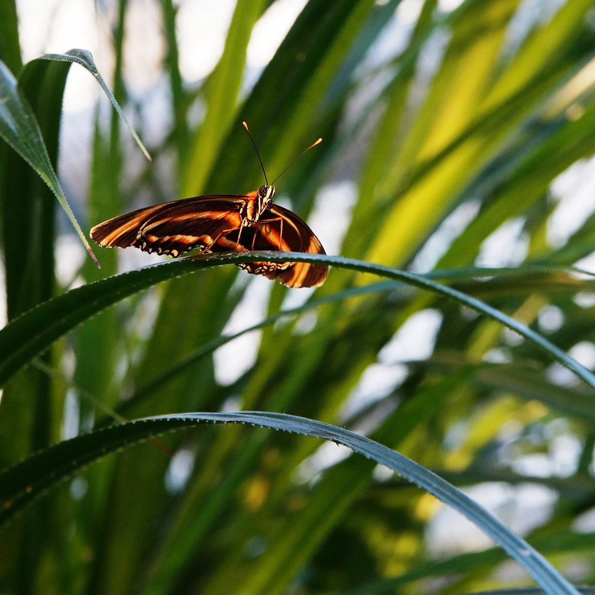 Tamron Lens (255) sample photo. Bogen hier, bogen da.. photography