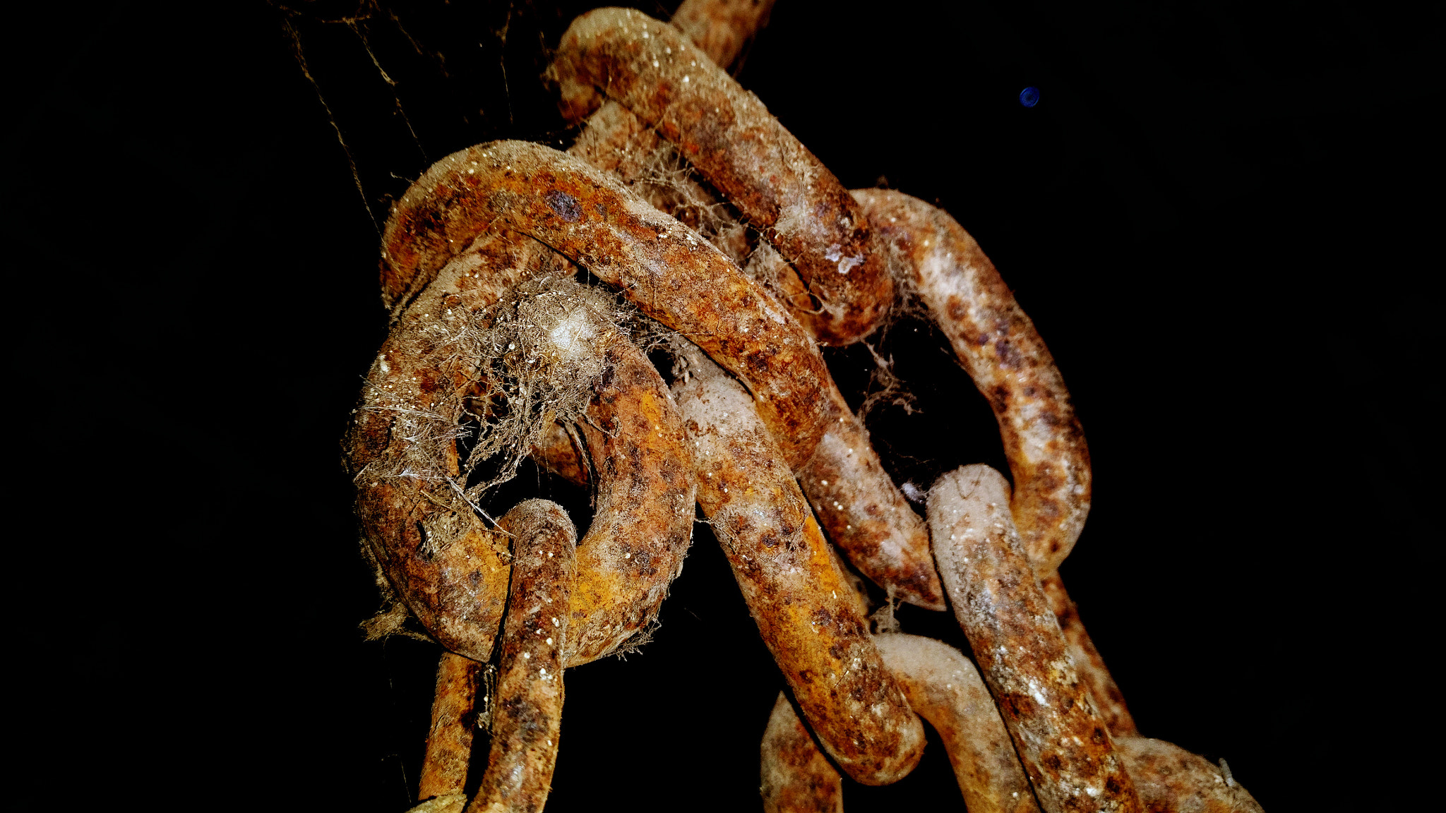 OnePlus A3003 sample photo