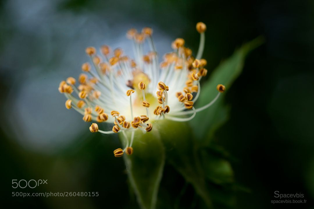 Nikon D5000 sample photo. Ray of light photography