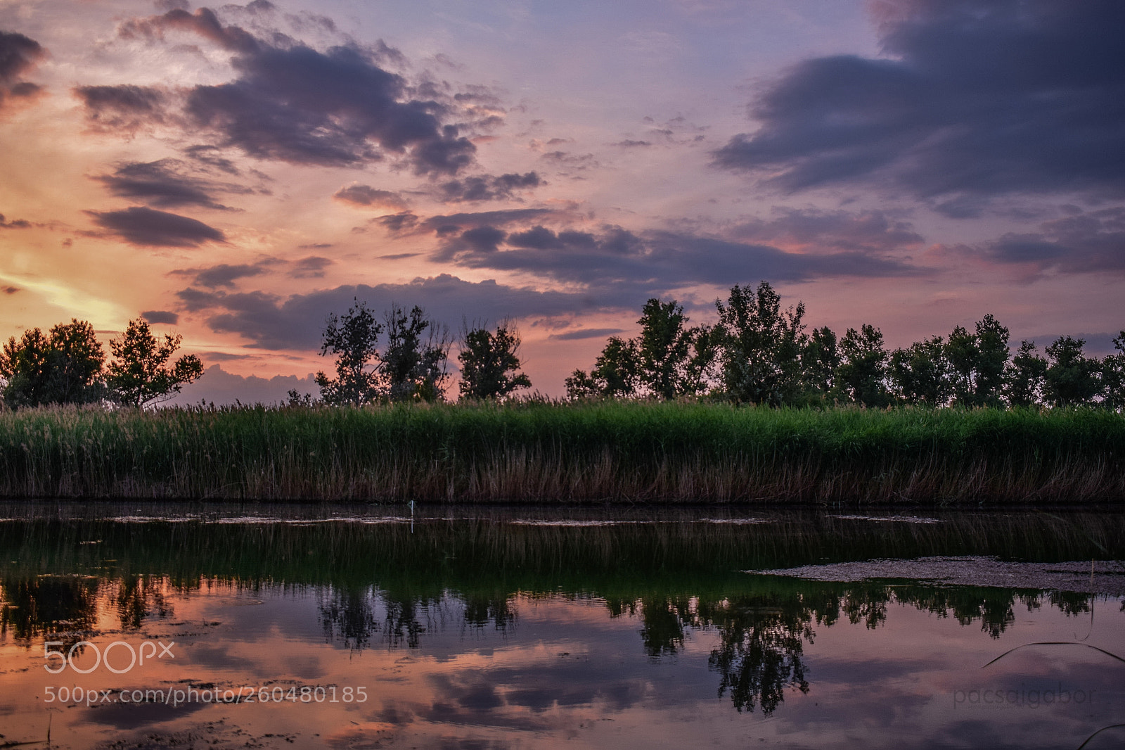 Nikon D5300 sample photo. Naplemente - sunset photography