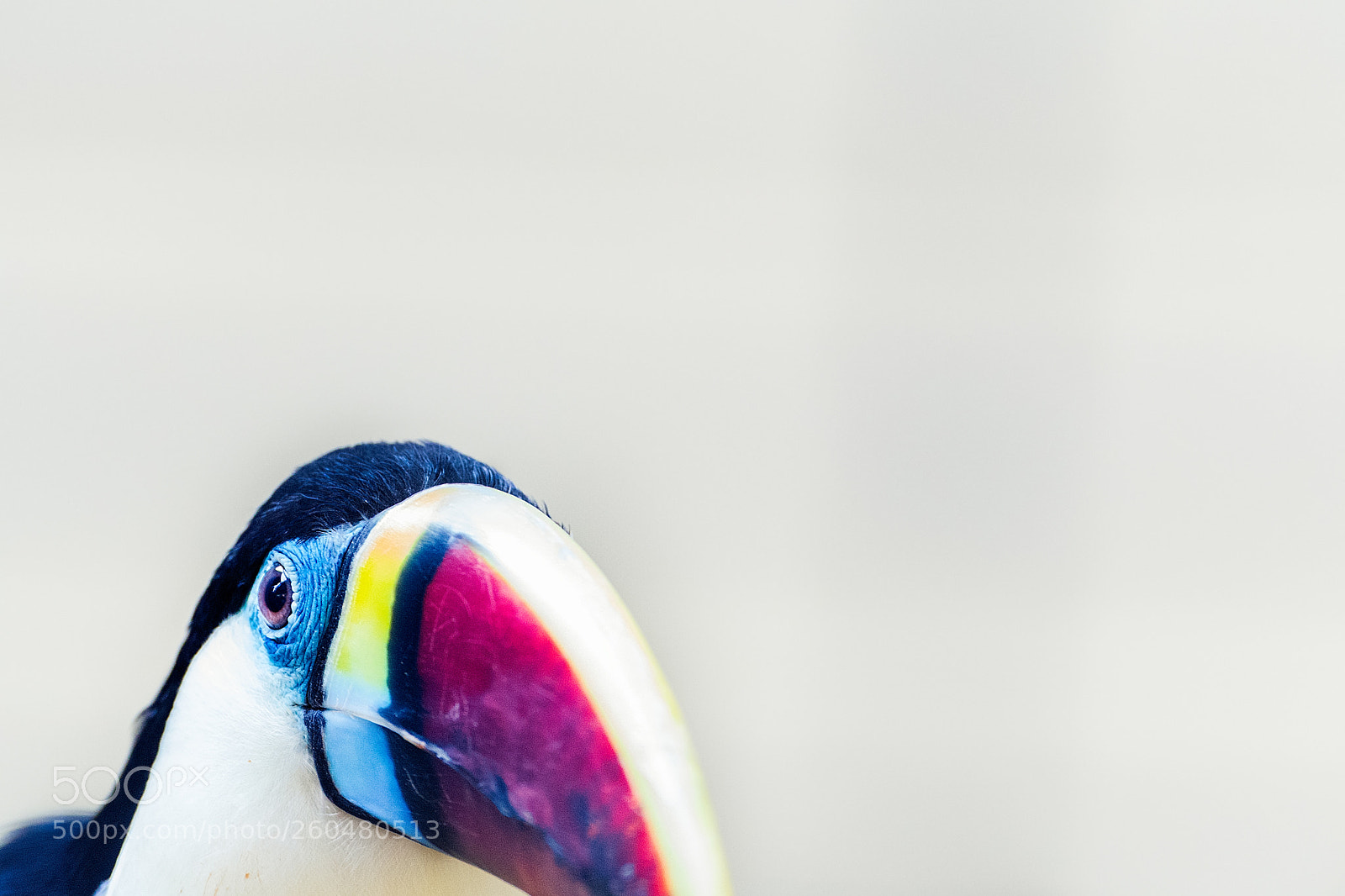 Nikon D500 sample photo. Beak peak photography