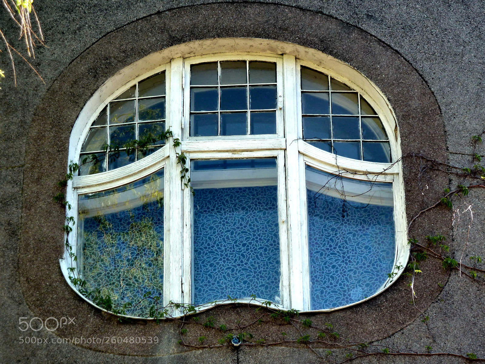 Panasonic Lumix DMC-ZS7 (Lumix DMC-TZ10) sample photo. Svetlogorsk - a window photography