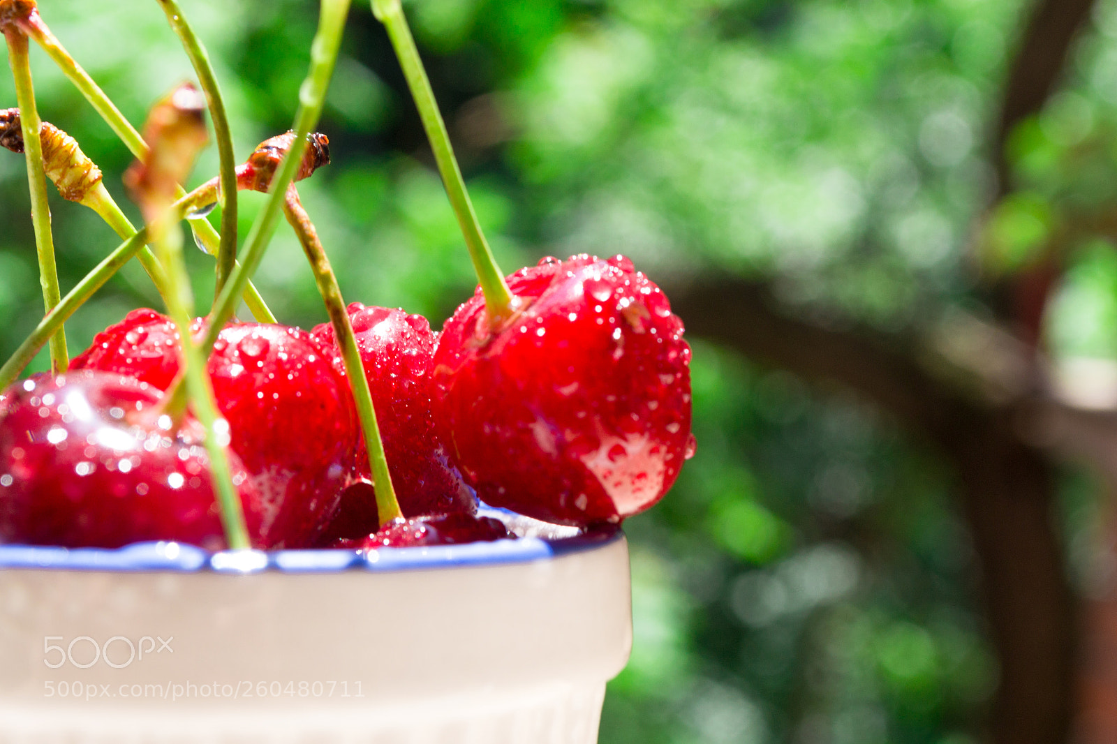 Nikon D3100 sample photo. Cherry 3 photography
