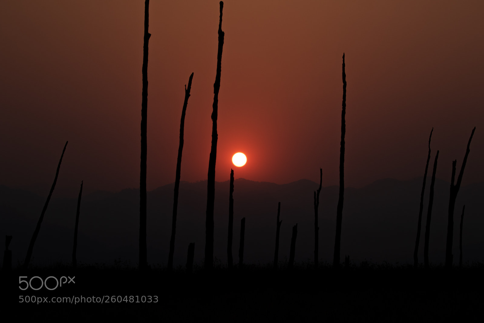 Canon EOS 7D Mark II sample photo. Rising sun photography