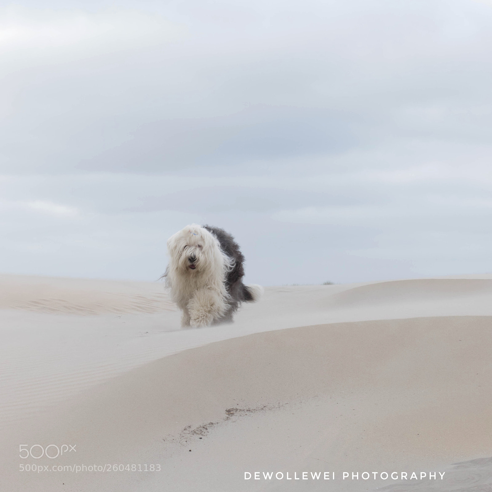 Canon EOS 7D Mark II sample photo. Beach walk photography