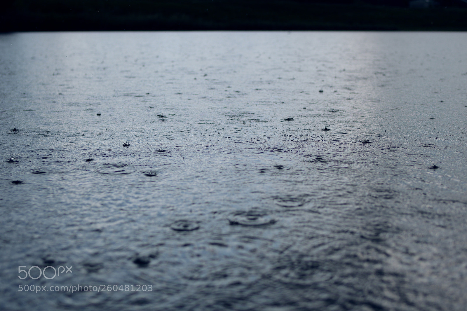 Nikon D7500 sample photo. Surface photography