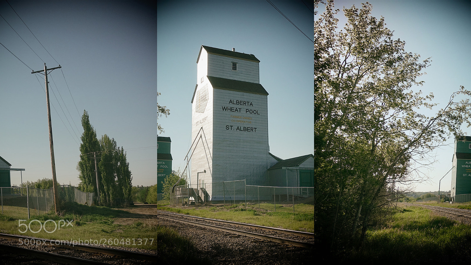Sony DSC-RX100M5 sample photo. Alberta wheat pool photography