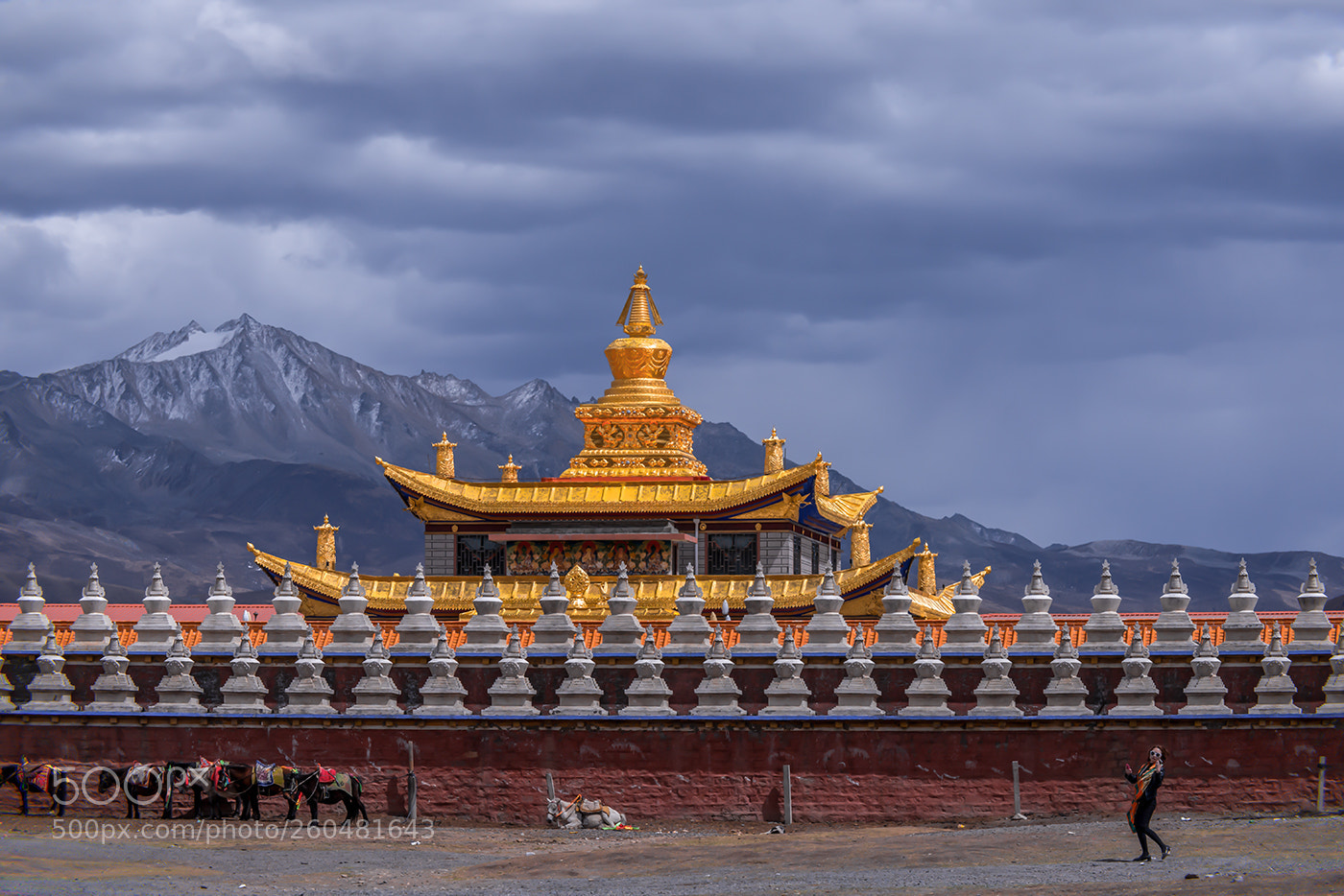 Nikon D800E sample photo. Temple photography