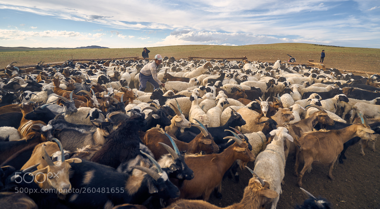 Sony a7 sample photo. Mongolia photography