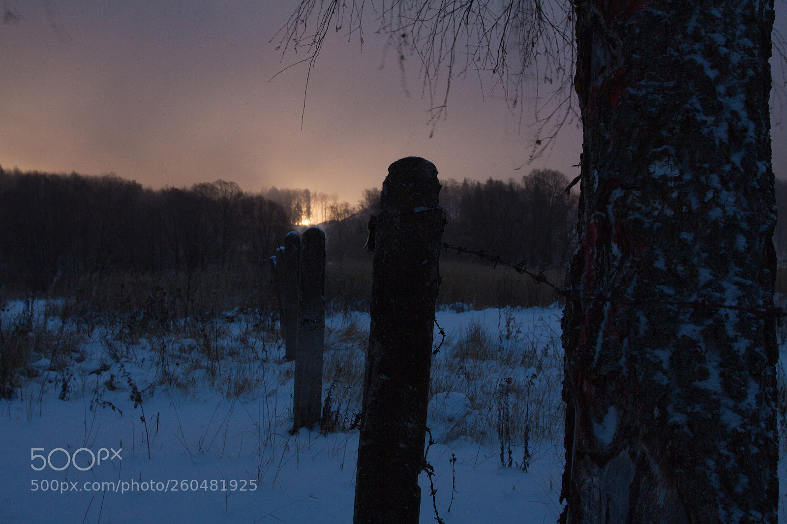 Canon EOS 50D sample photo. W_2015 photography
