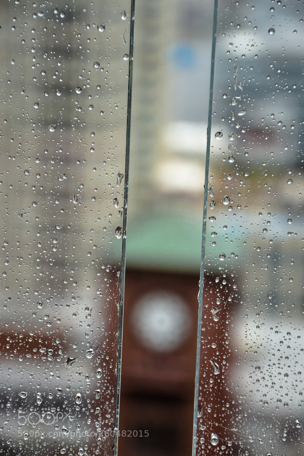 Nikon D5500 sample photo. Dsc photography