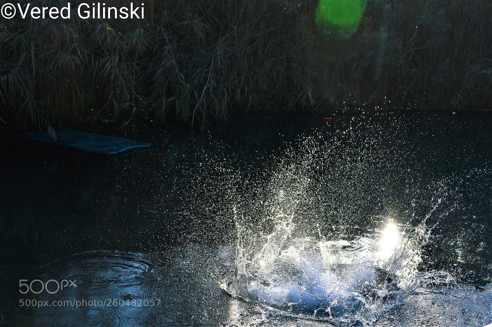 Nikon D3200 sample photo. Splashes of water photography