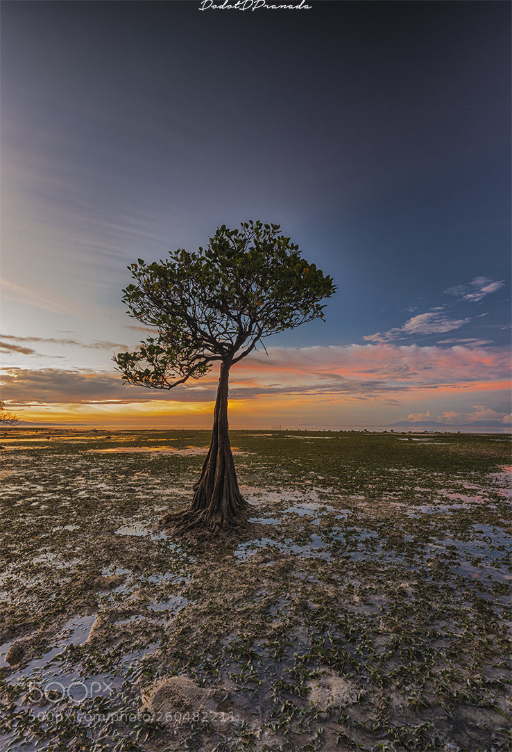 Nikon D750 sample photo. Sunset at walakiri beach photography