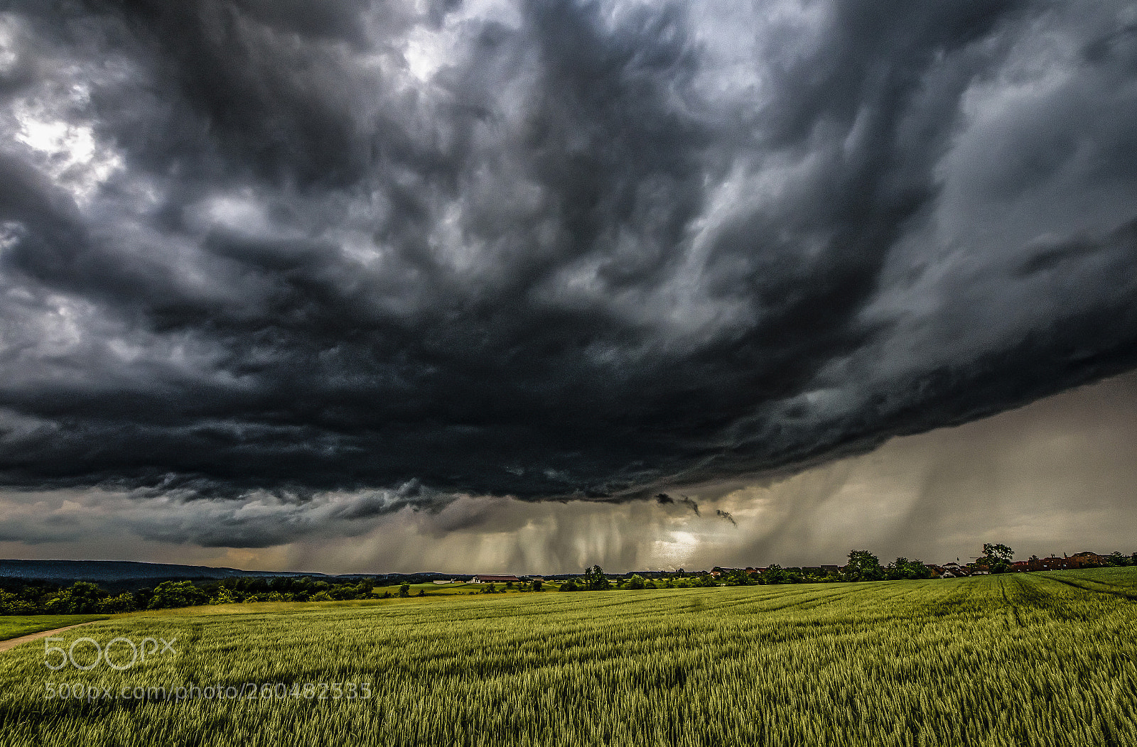 Nikon D500 sample photo. Storm ove the field photography
