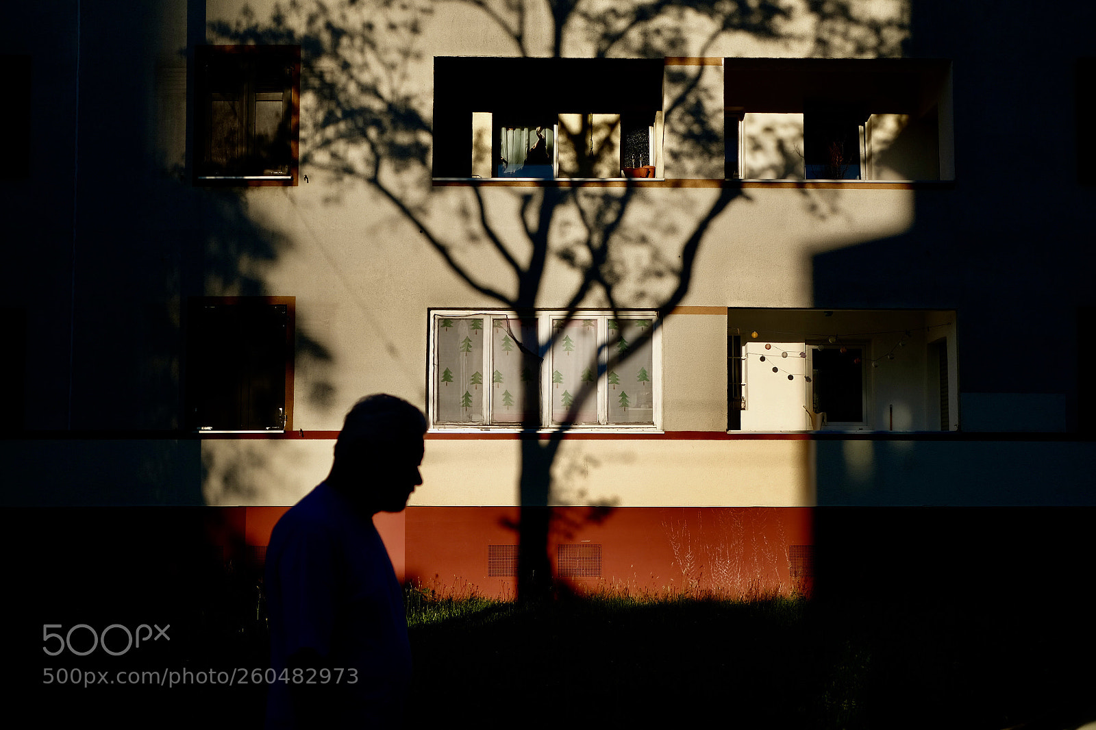 Fujifilm X-T2 sample photo. Silhouette and shadow photography