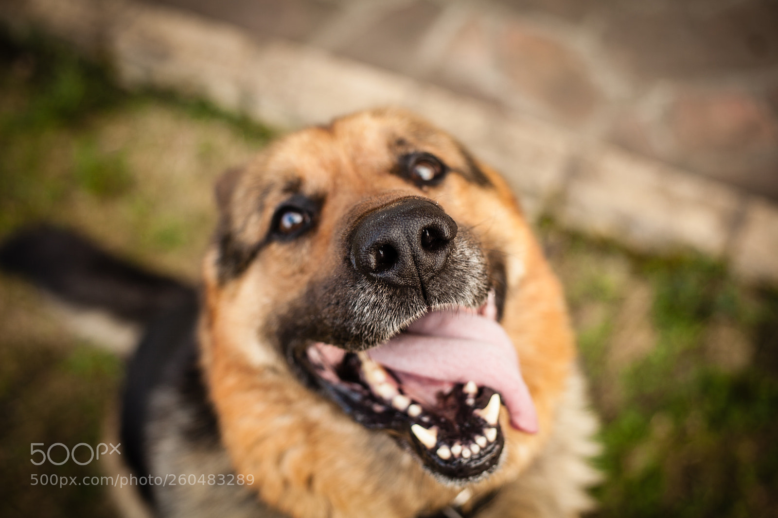 Canon EOS 5D Mark II sample photo. Img photography