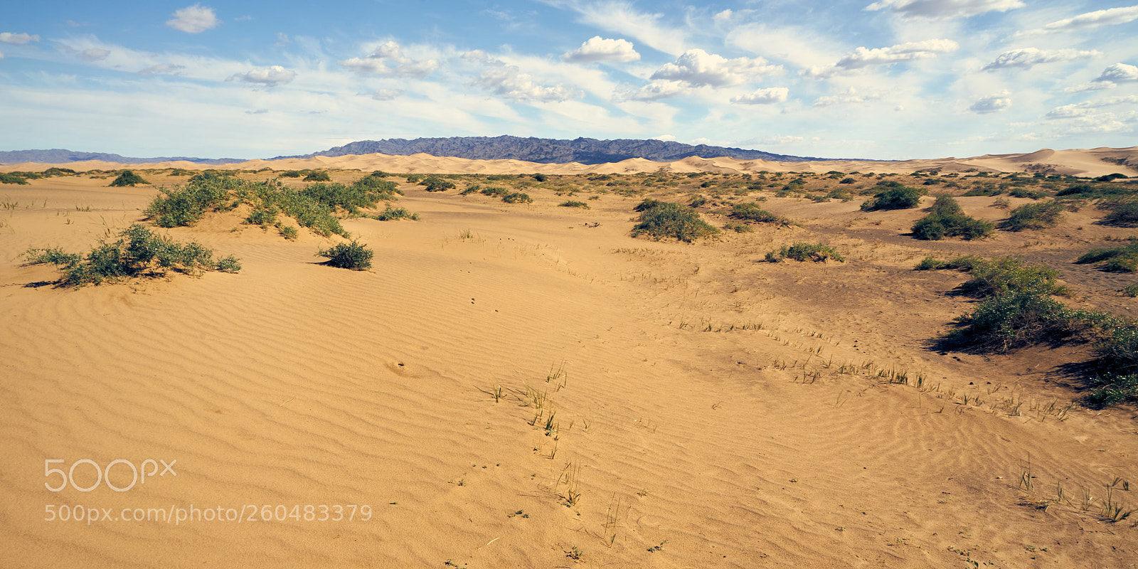 Sony a7 sample photo. Mongolia photography