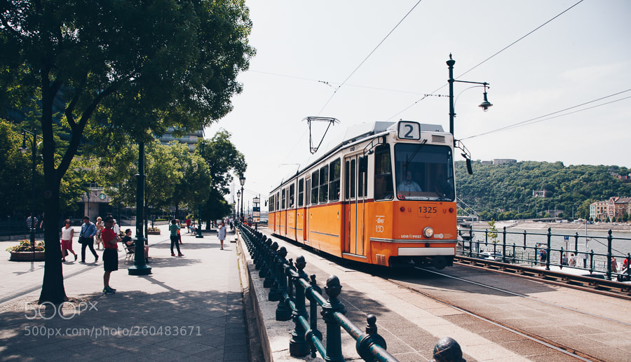 Canon EOS 5D Mark II sample photo. Orange is the color photography